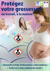Protection de la grossesse au travail