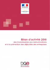 Les commissaires aux restructurations et à la prévention des difficultés des entreprises (CRP) : le rapport d'activité national pour 2018 est disponible !