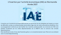 Infographies de l'insertion par l'activité économique (IAE)