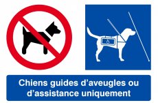 L'accès des chiens guides d'aveugles ou d'assistance aux lieux de travail ou de formation